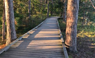 Paul S.'s photo of camping with pets at Big Bay Town Park near Saxon, WI