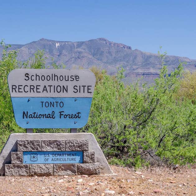 Roosevelt Lake - Schoolhouse Point Campground Camping | Roosevelt, AZ ...