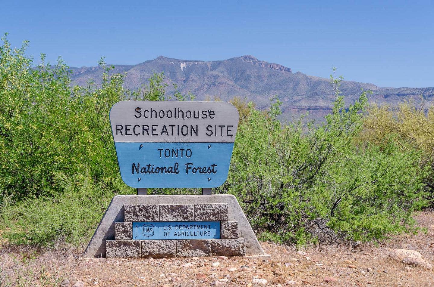 Camper submitted image from Roosevelt Lake - Schoolhouse Campground - 2