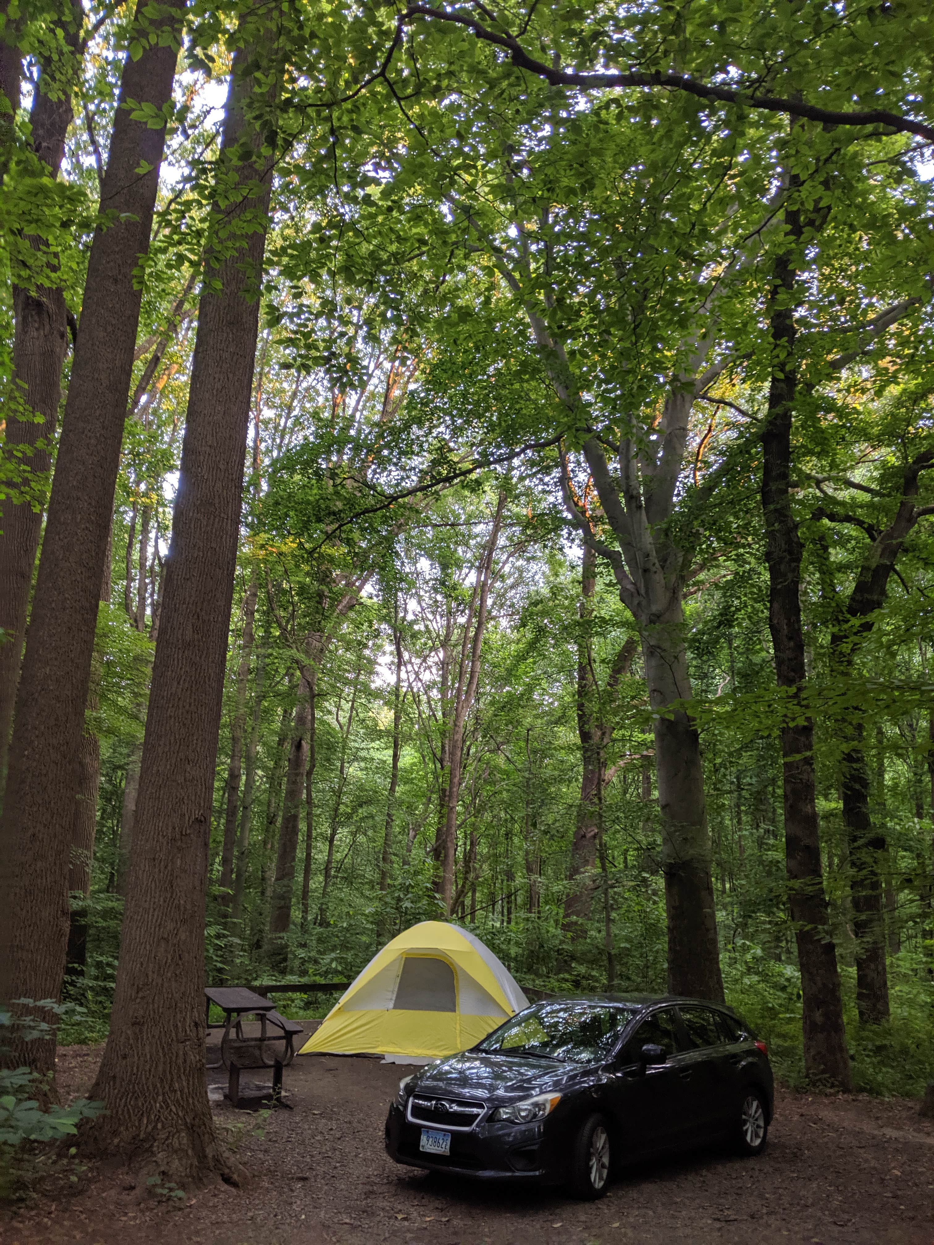Anne L.'s photo at Susquehanna State Park Campground near White Hall, MD