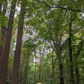 Review photo of Susquehanna State Park Campground by Anne L., September 19, 2019