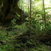 Review photo of Bandy Creek Campground — Big South Fork National River and Recreation Area by Marsha K., September 19, 2019