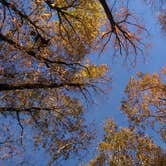 Review photo of Bandy Creek Campground — Big South Fork National River and Recreation Area by Marsha K., September 19, 2019