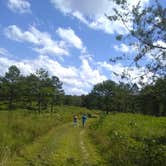 Review photo of Alum Ford Campground — Big South Fork National River & Recreation Area by Marsha K., September 19, 2019