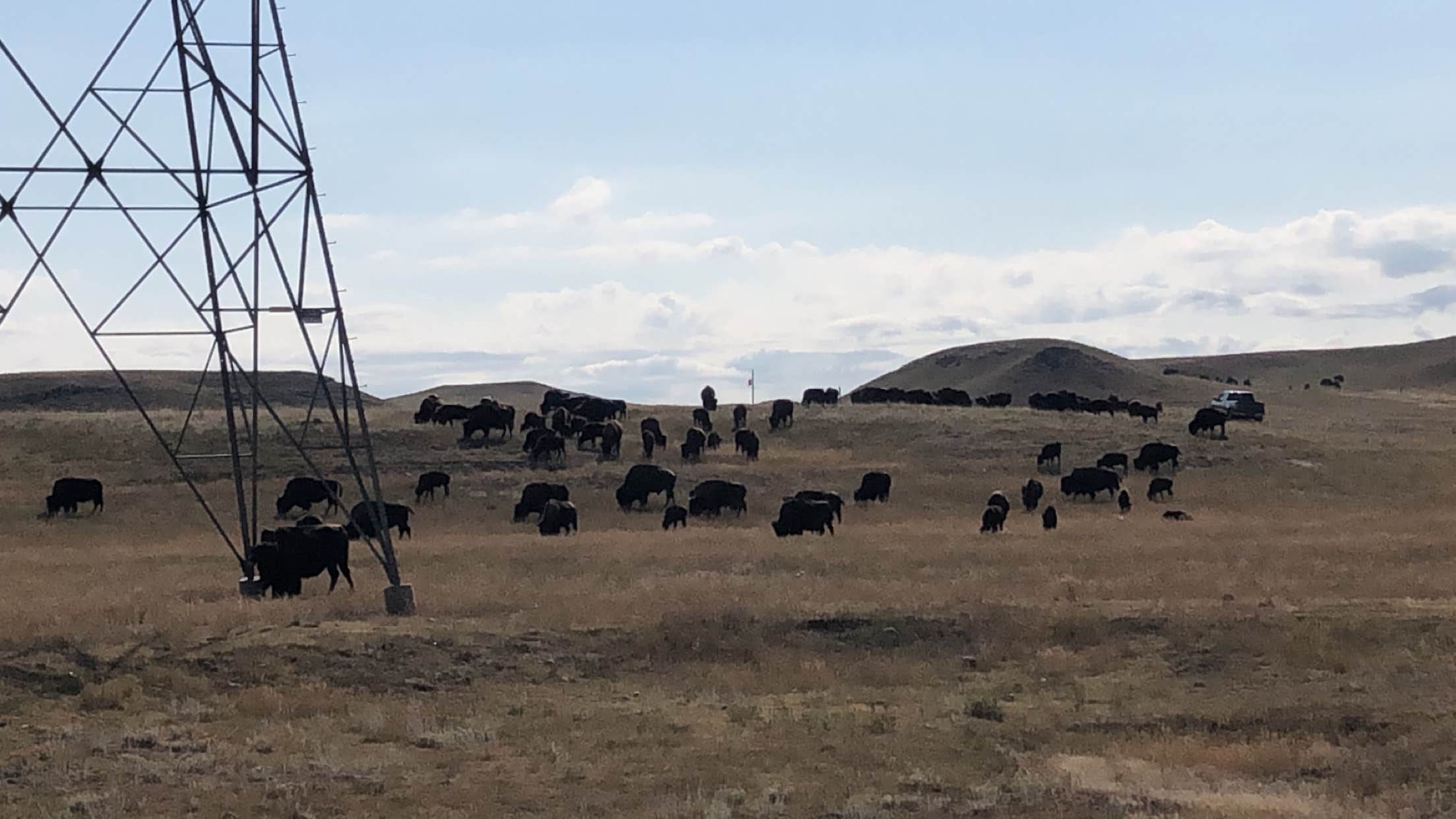 Terry Bison Ranch Camping 