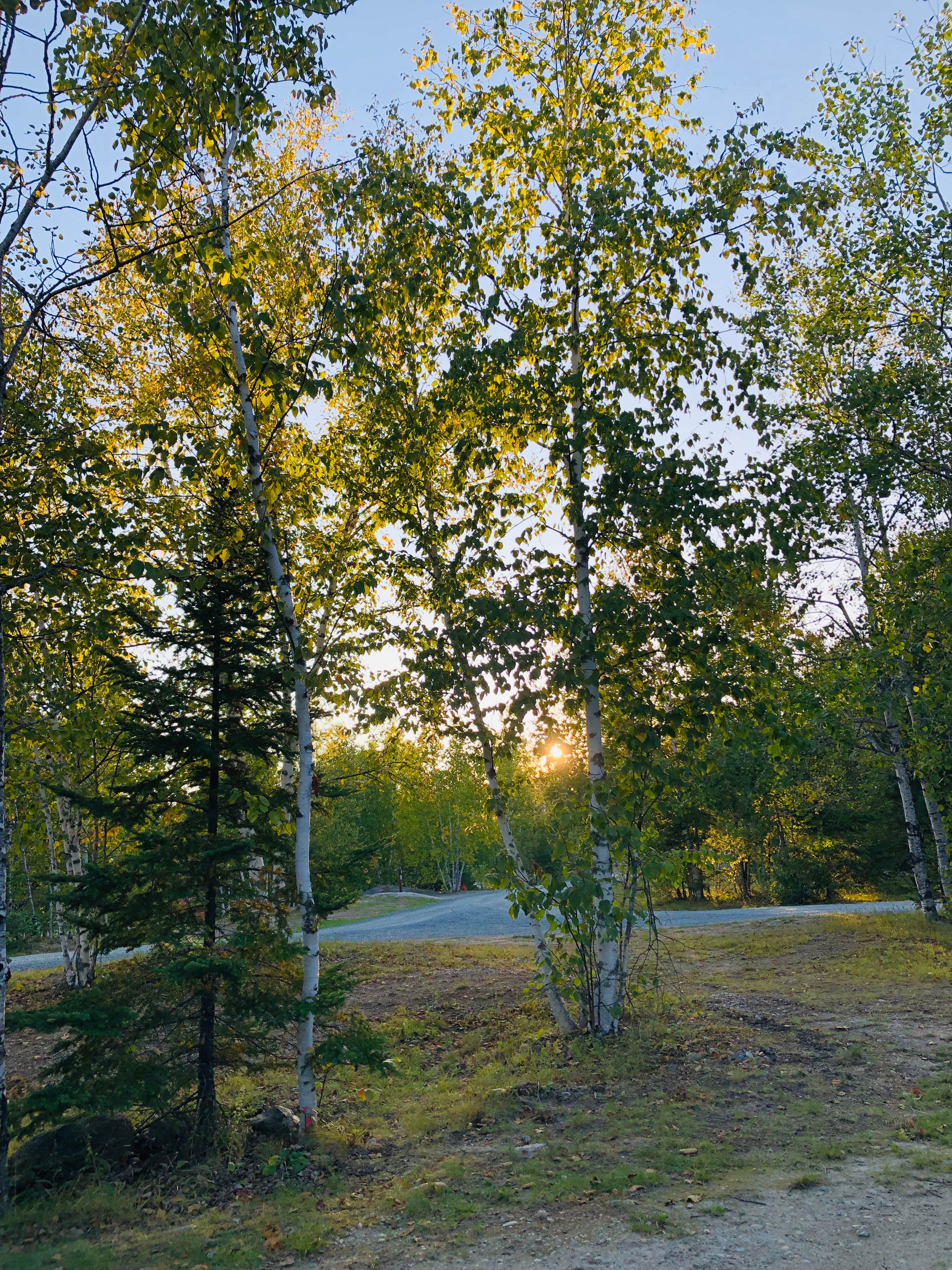 Camper submitted image from Jericho Mountain State Park Campground - 2