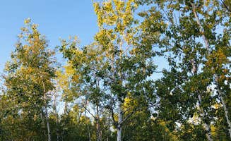 Rebecca A.'s photo of rv camping at Jericho Mountain State Park Campground near Errol, NH