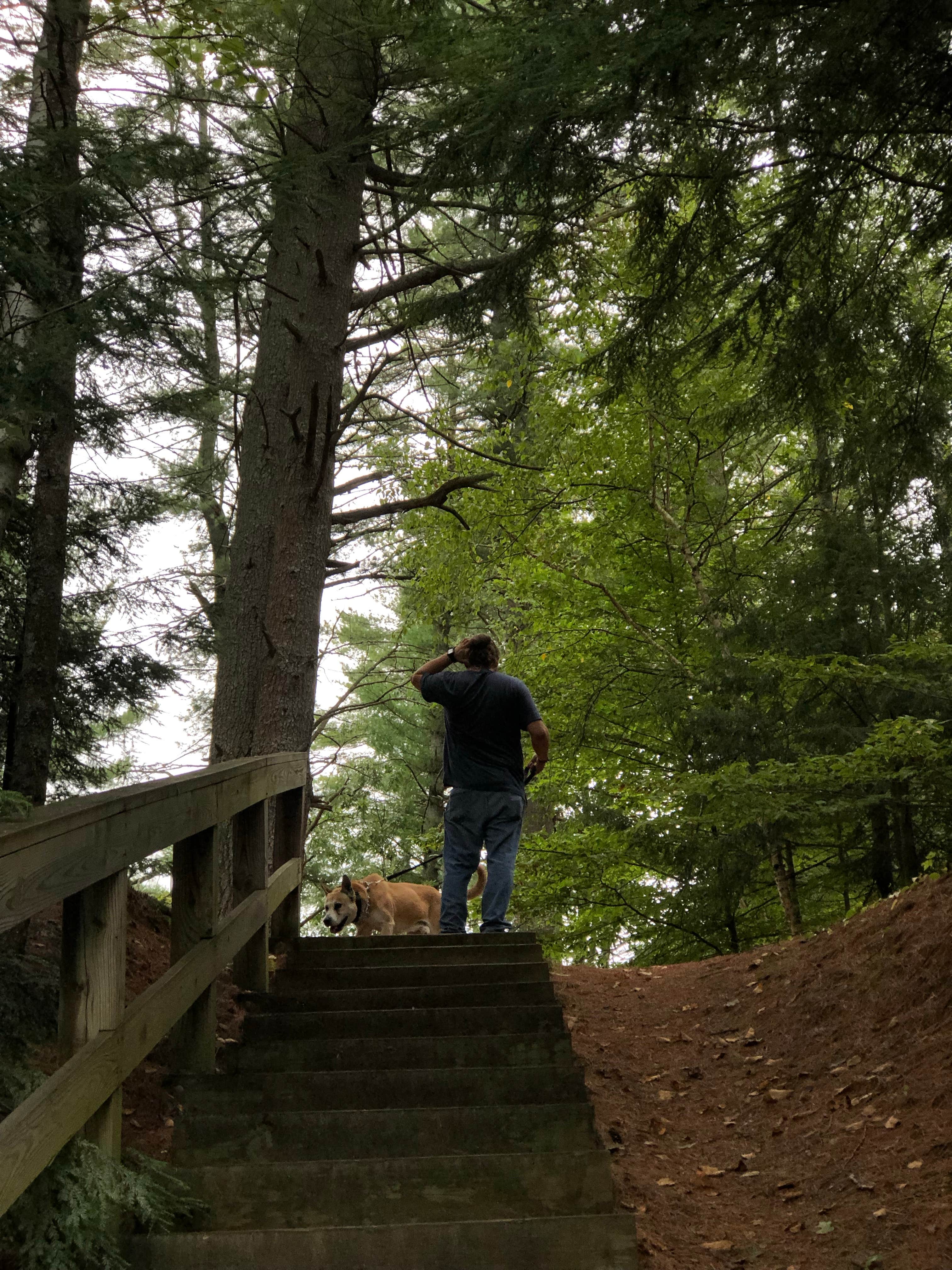 Rebecca A.'s photo of camping with pets at Quechee State Park Campground near Elkins, NH