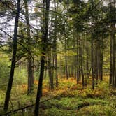 Review photo of Quechee State Park Campground by Rebecca A., September 19, 2019