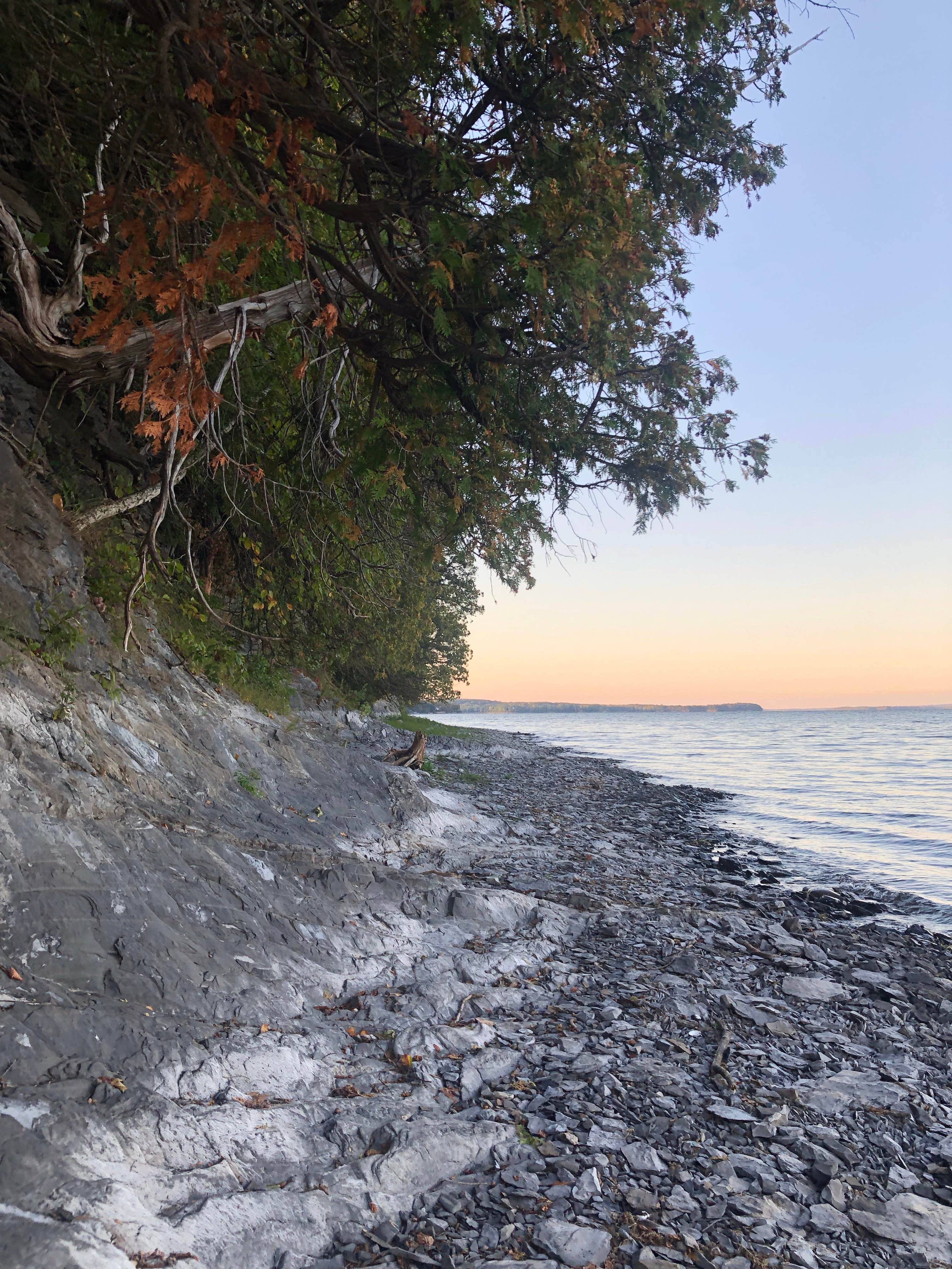 Camper submitted image from Grand Isle State Park Campground - 4