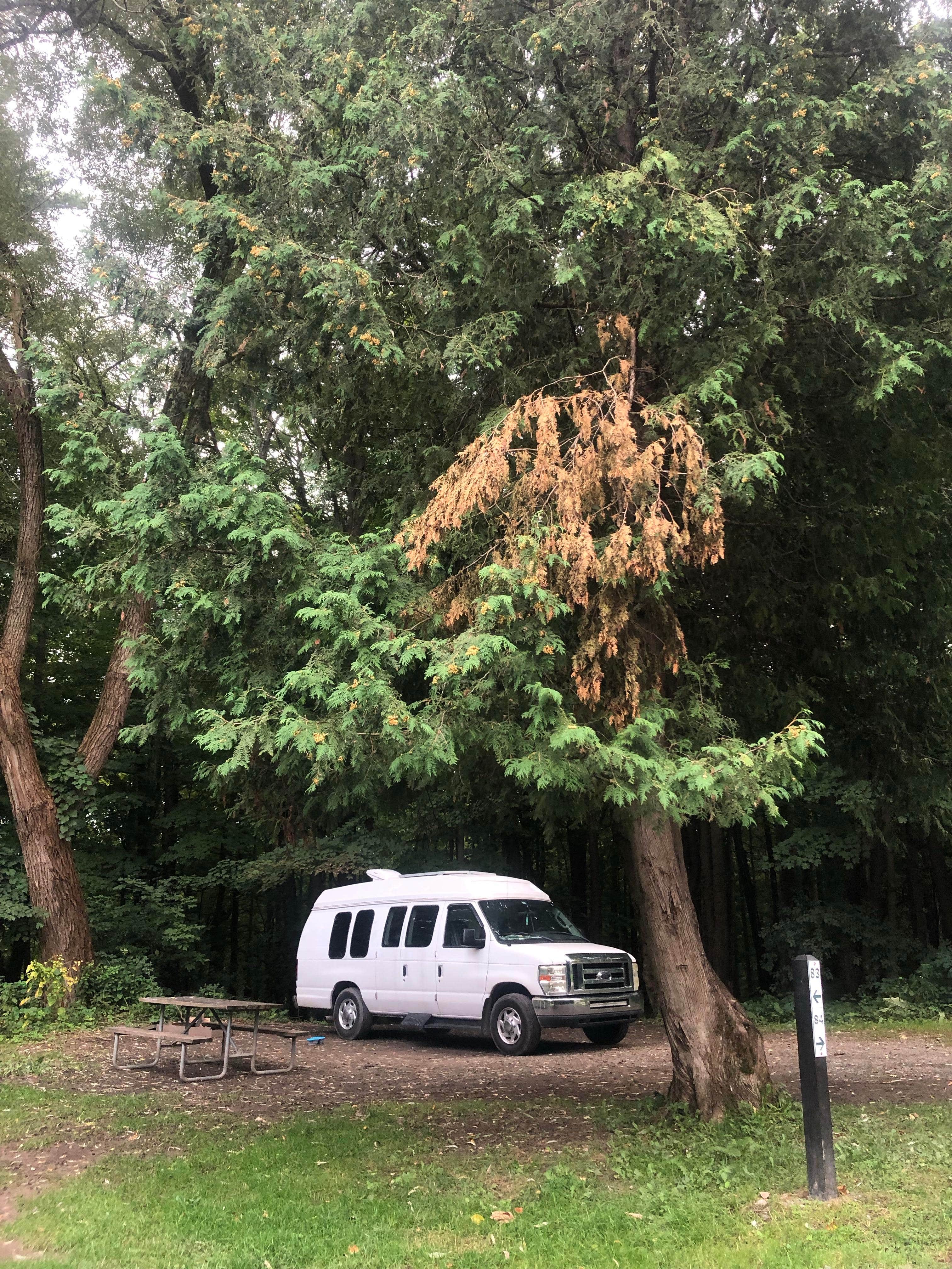 Rebecca A.'s photo of rv camping at Green Lakes State Park Campground near Cayuga, NY