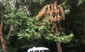 Rebecca A.'s photo of rv camping at Green Lakes State Park Campground near Morrisville, NY