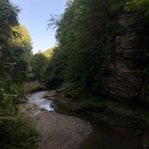 Review photo of Robert H. Treman State Park by Rebecca A., September 20, 2019