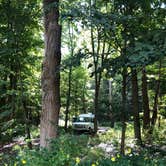 Review photo of Robert H. Treman State Park Campground by Rebecca A., September 20, 2019