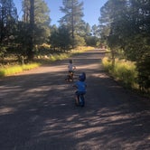 Review photo of White Spar Campground by Melissa S., September 20, 2019