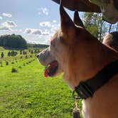 Review photo of Heritage Farms by Rebecca A., September 20, 2019