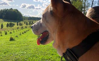 Rebecca A.'s photo of camping with pets at Heritage Farms near Vermilion, OH