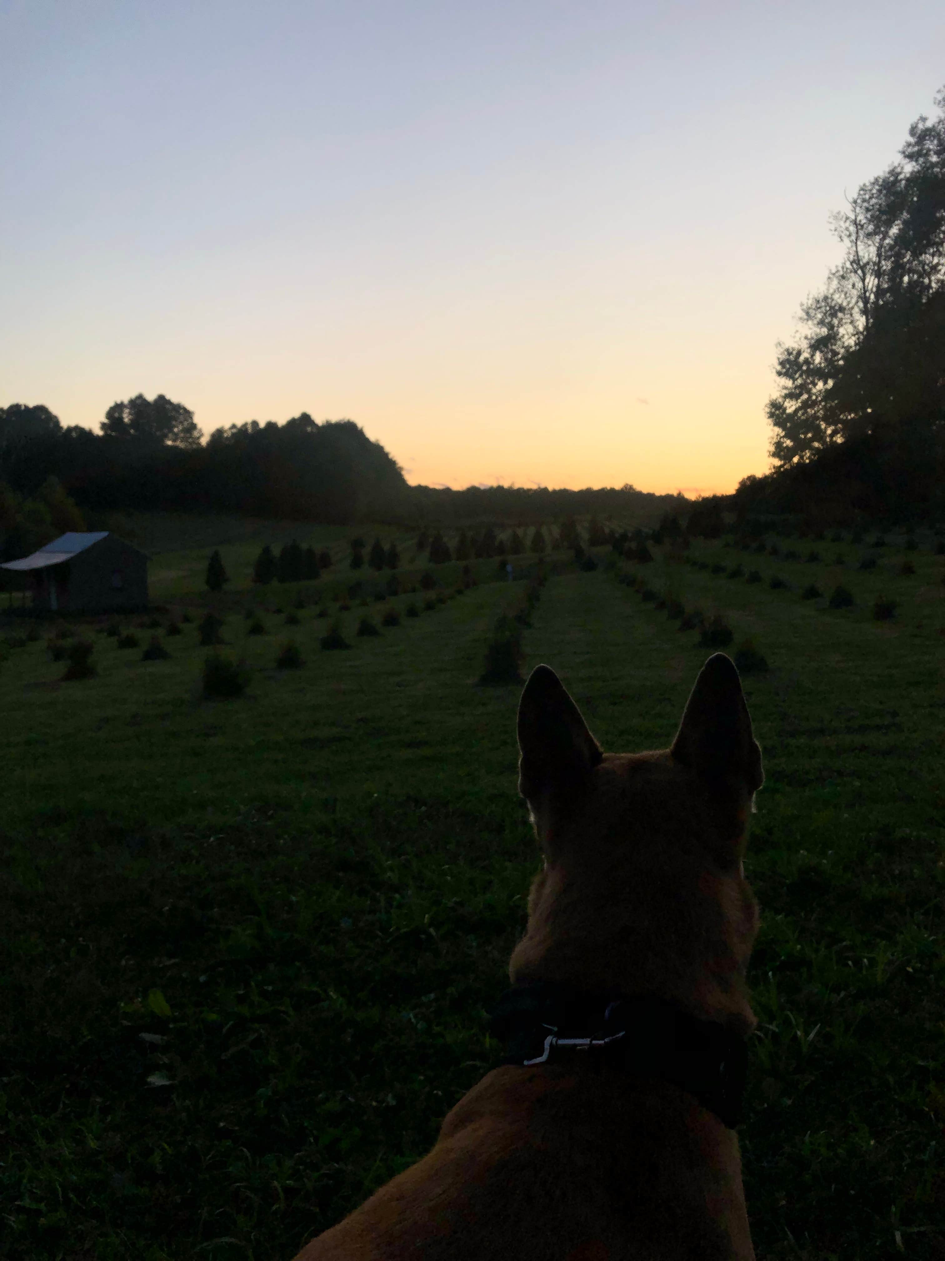 Rebecca A.'s photo of tent camping at Heritage Farms near Navarre, OH