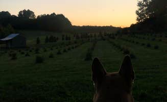 Rebecca A.'s photo of tent camping at Heritage Farms near Solon, OH