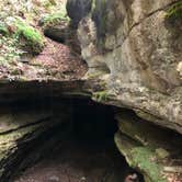 Review photo of Mammoth Cave Campground — Mammoth Cave National Park by Rebecca A., September 20, 2019