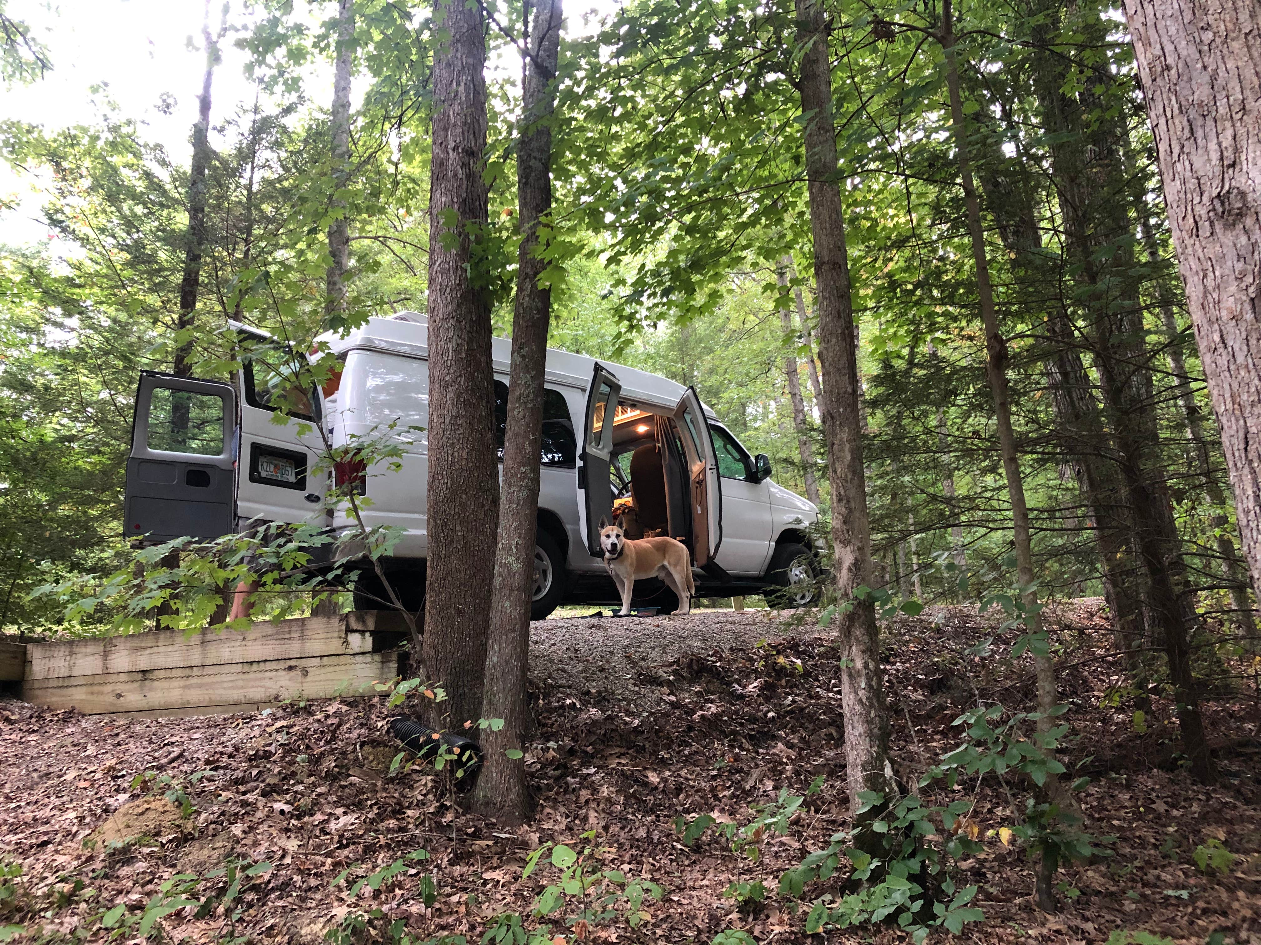 Camper-submitted photo at Koomer Ridge Campground — Daniel Boone National Forest in Kentucky