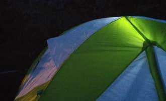 Camping near Big Cimarron: Dakota Terraces Campground — Ridgway State Park, Ridgway, Colorado