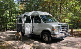 Rebecca A.'s photo of rv camping at Grove near Laurel River Lake