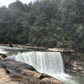 Review photo of Grove by Rebecca A., September 20, 2019