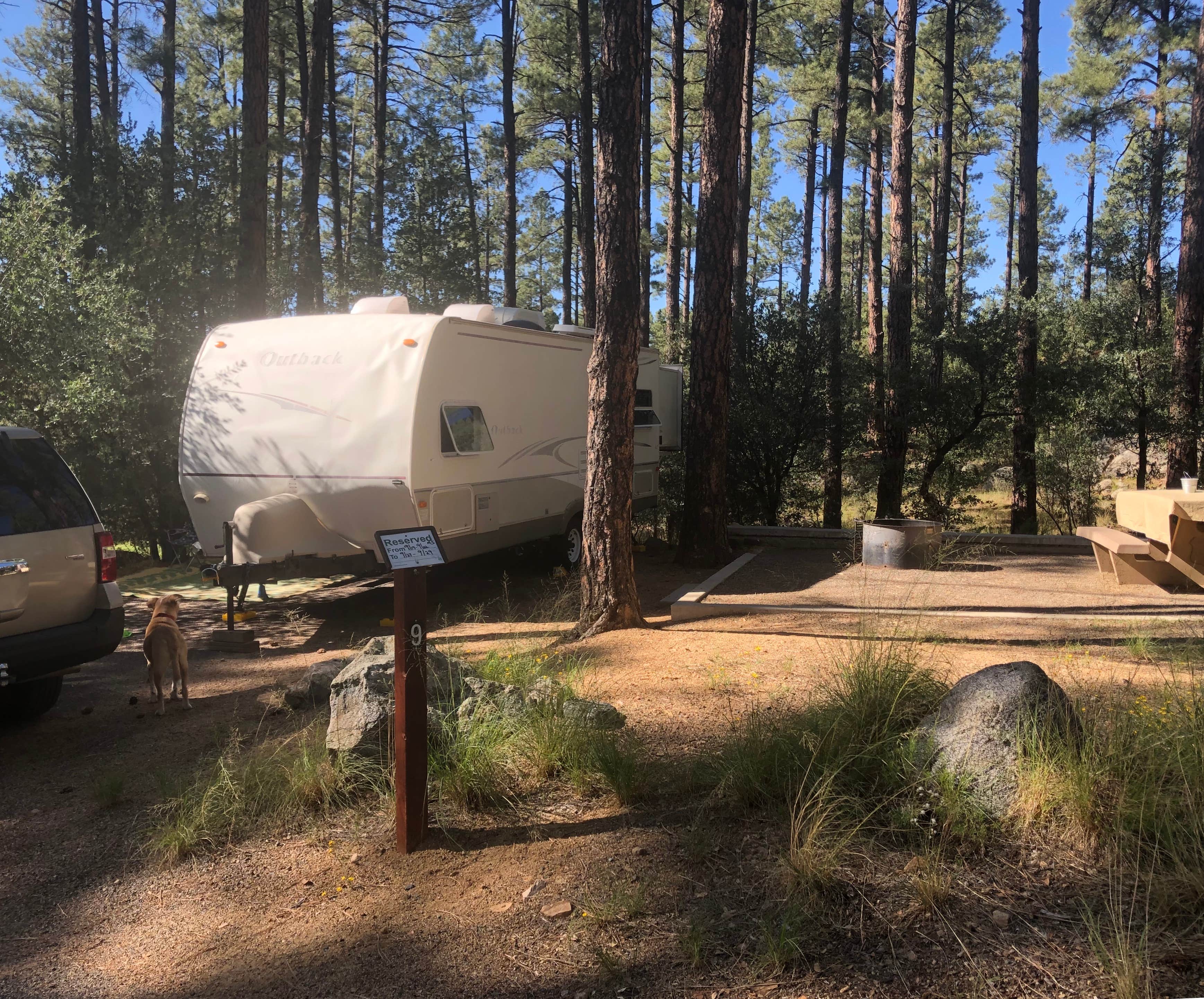 Camper-submitted photo at White Spar Campground near Mayer, AZ