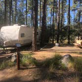 Review photo of White Spar Campground by Melissa S., September 20, 2019