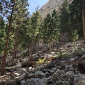 Review photo of Mt. Whitney Trail Camp by Mannie C., September 20, 2019