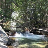 Review photo of Mt. Whitney Trail Camp by Mannie C., September 20, 2019