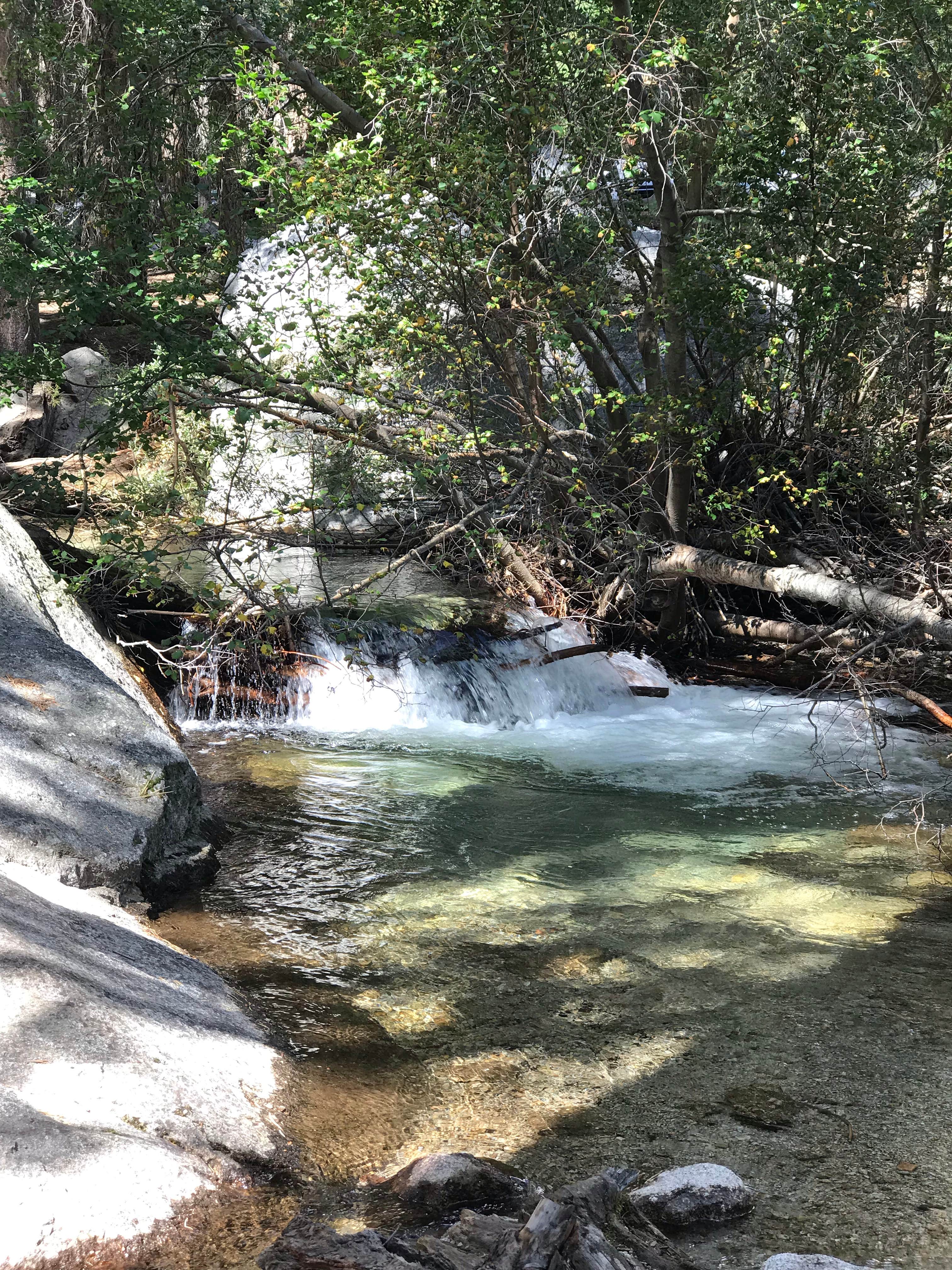 Camper submitted image from Mt. Whitney Trail Camp - 3