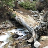 Review photo of Mt. Whitney Trail Camp by Mannie C., September 20, 2019