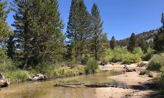 Camping near East Fork Campground – Inyo National Forest (CA): Rock Creek Lake Campground, Swall Meadows, California