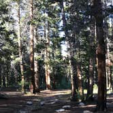 Review photo of East Fork Campground – Inyo National Forest (CA) by Mannie C., September 20, 2019