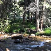 Review photo of East Fork Campground – Inyo National Forest (CA) by Mannie C., September 20, 2019