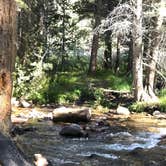 Review photo of East Fork Campground – Inyo National Forest (CA) by Mannie C., September 20, 2019