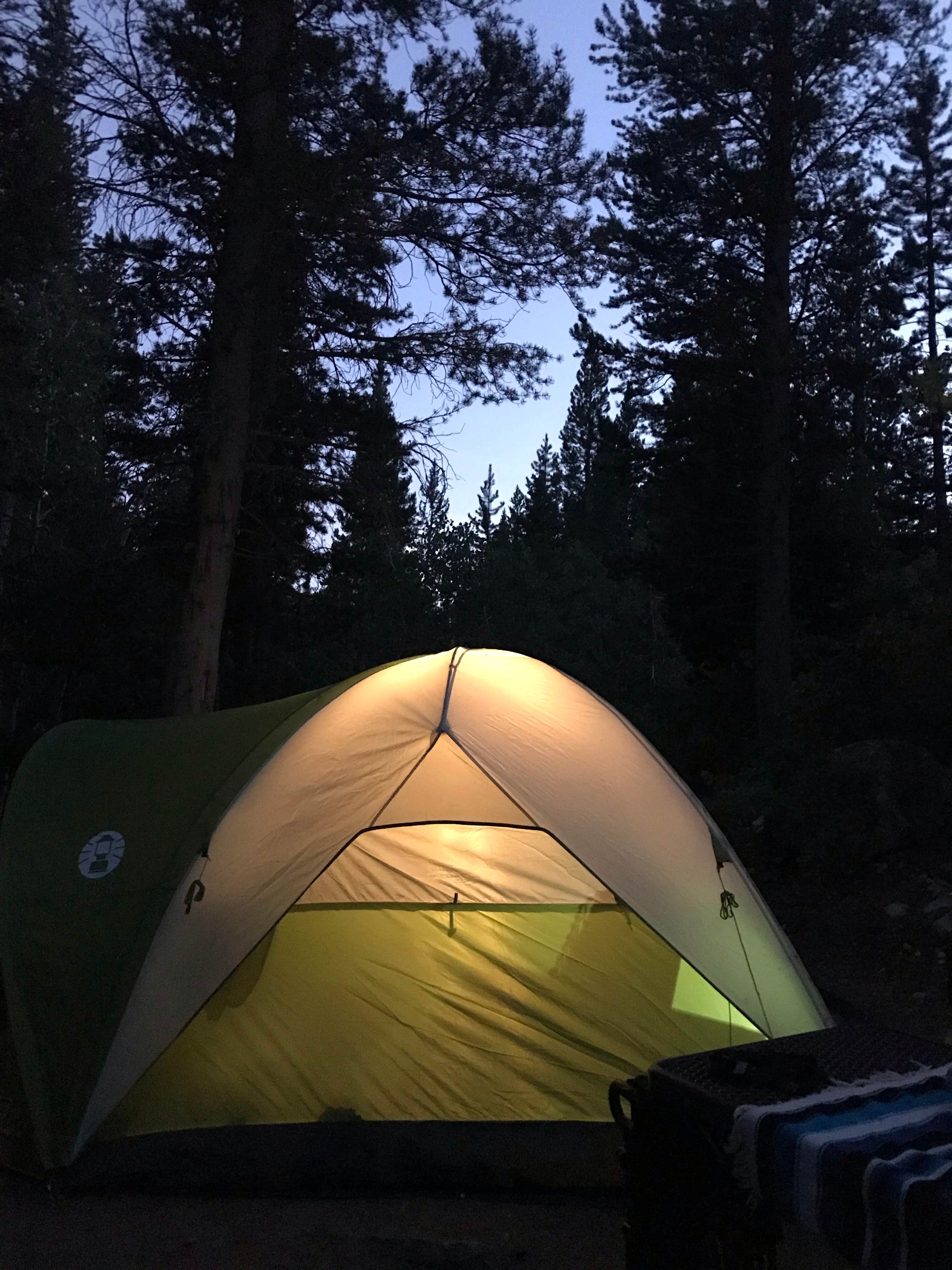 Mannie C.'s photo at East Fork Campground – Inyo National Forest (CA) near Toms Place, CA