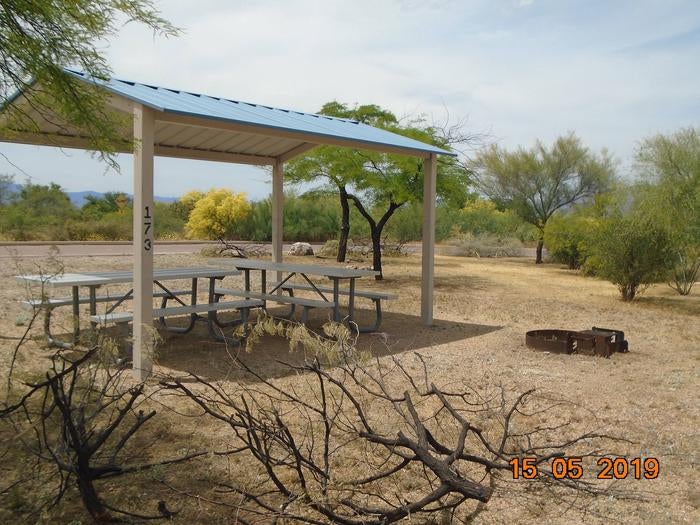 Camper submitted image from Roosevelt Lake - Schoolhouse Point Campground - 3