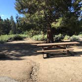 Review photo of Serrano by Lindsey W., August 9, 2017