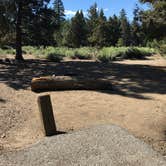 Review photo of Serrano by Lindsey W., August 9, 2017