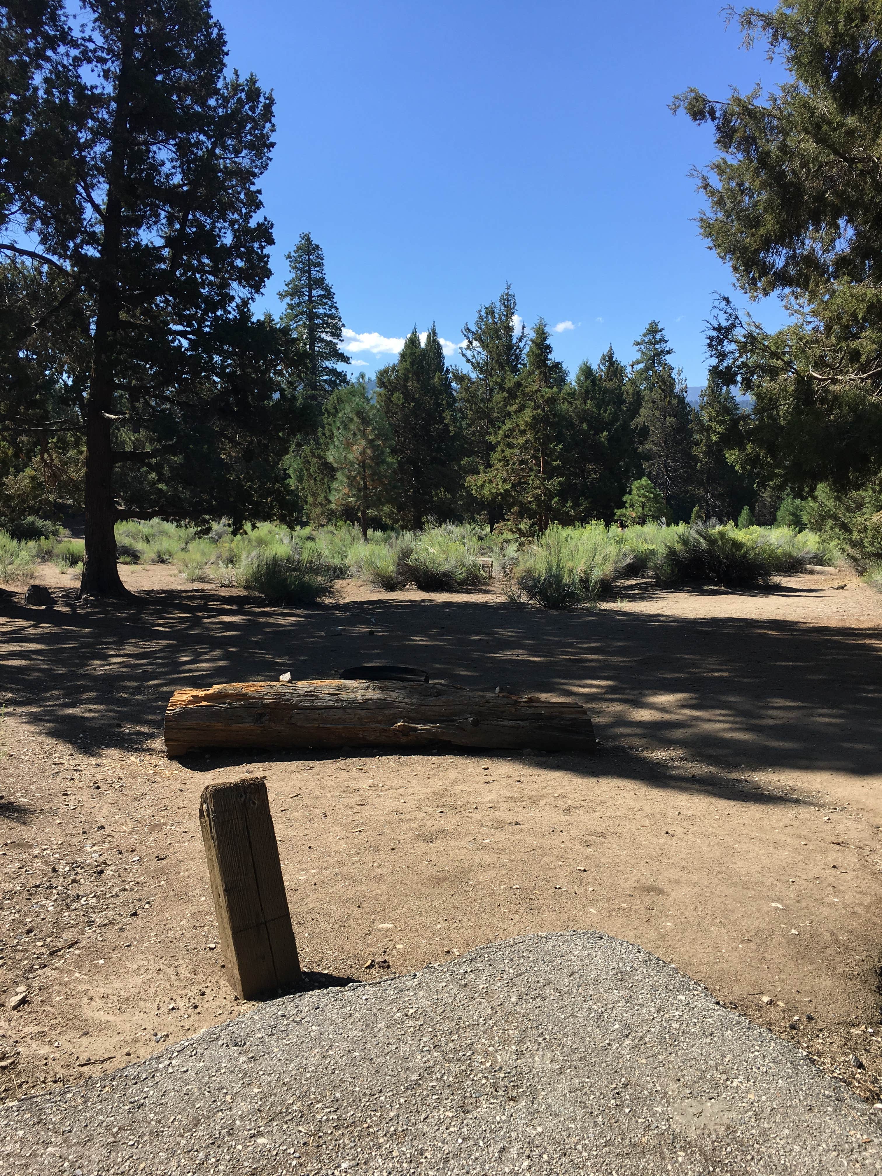 Camper submitted image from Serrano - 4