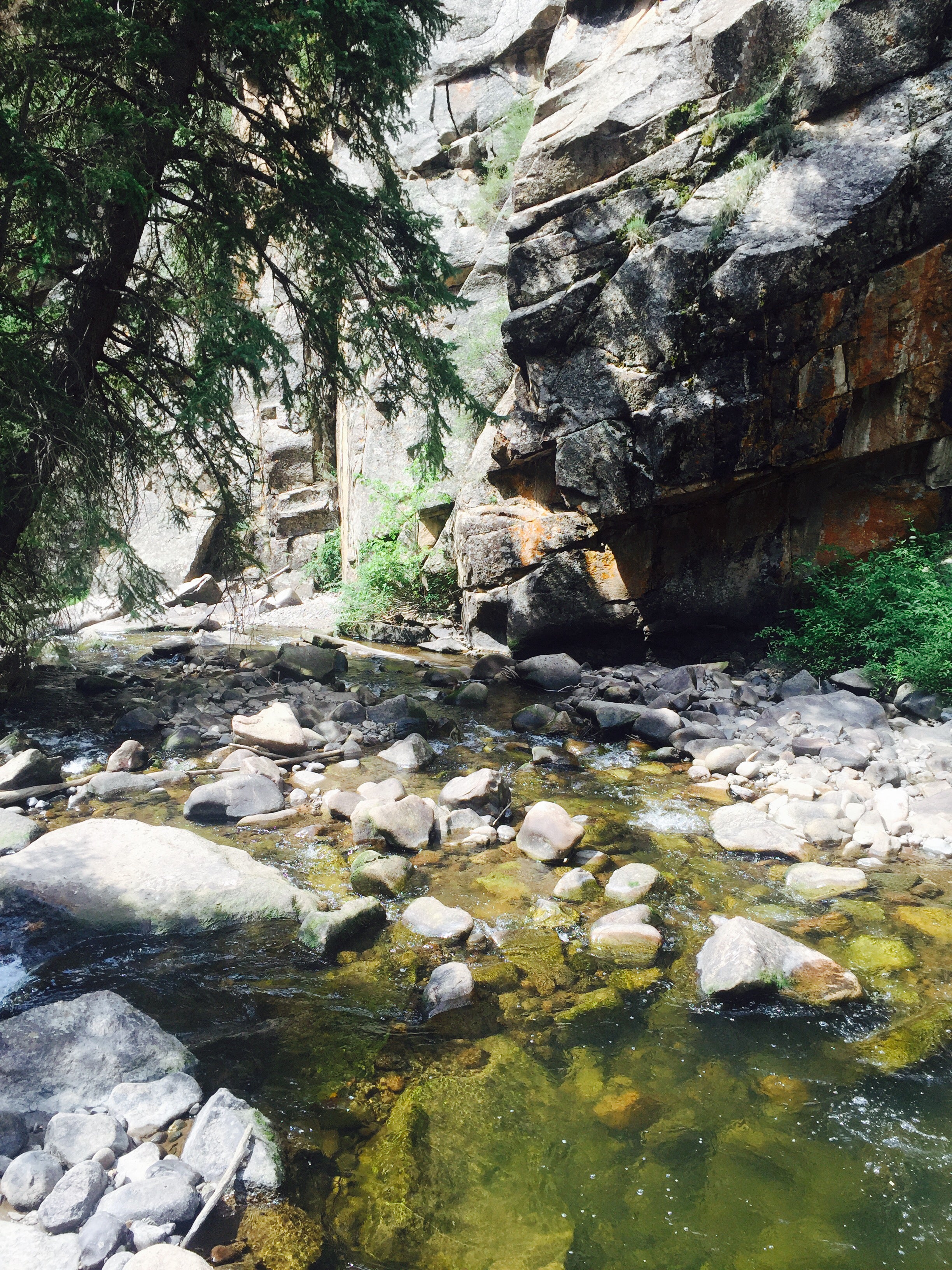 Camper submitted image from Curecanti Creek - Curecanti National Recreation Area - 2