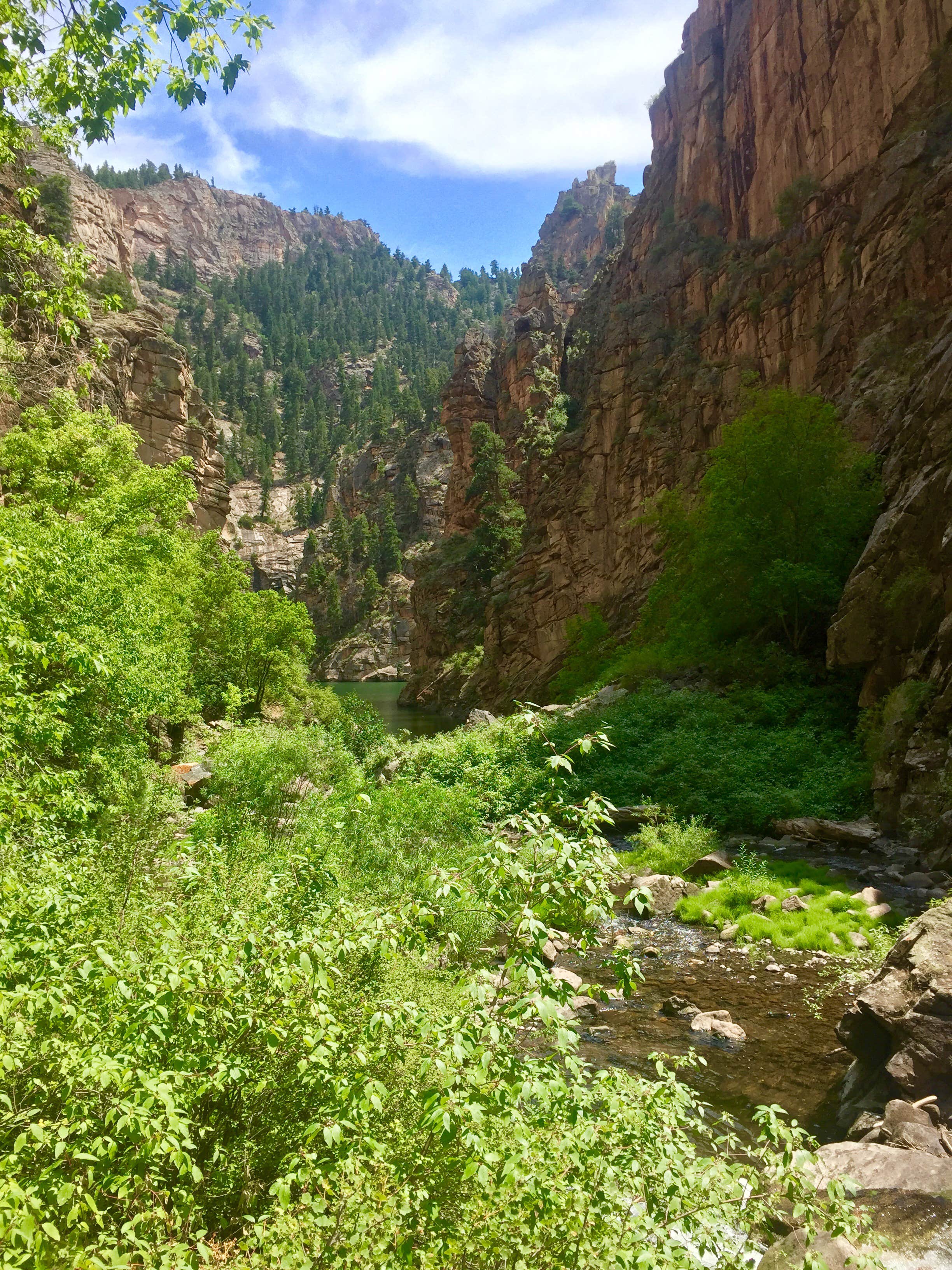 Camper-submitted photo at Curecanti Creek - Curecanti National Recreation Area near Powderhorn, CO