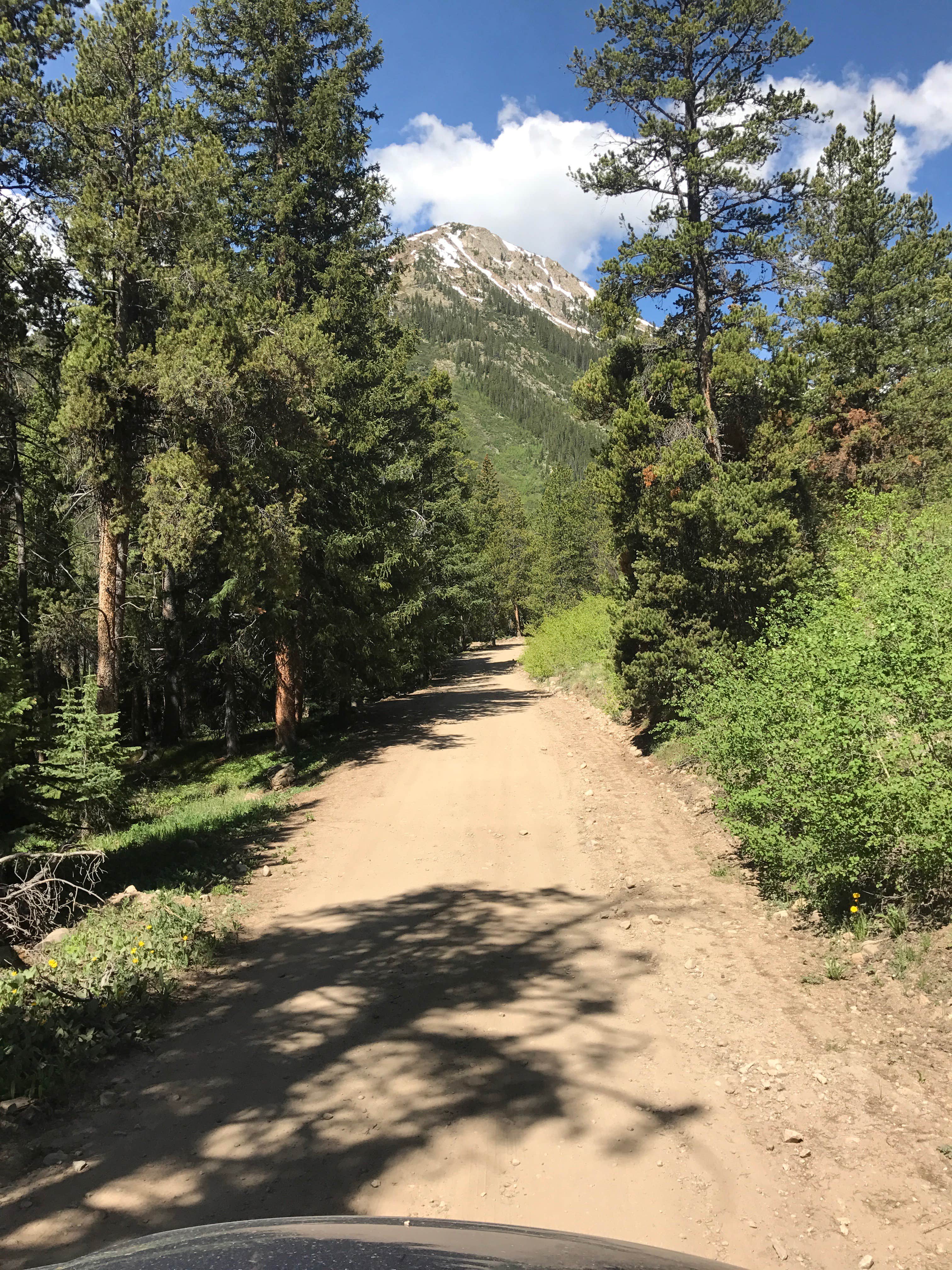 Camper-submitted photo at Portal Campground near Granite, CO