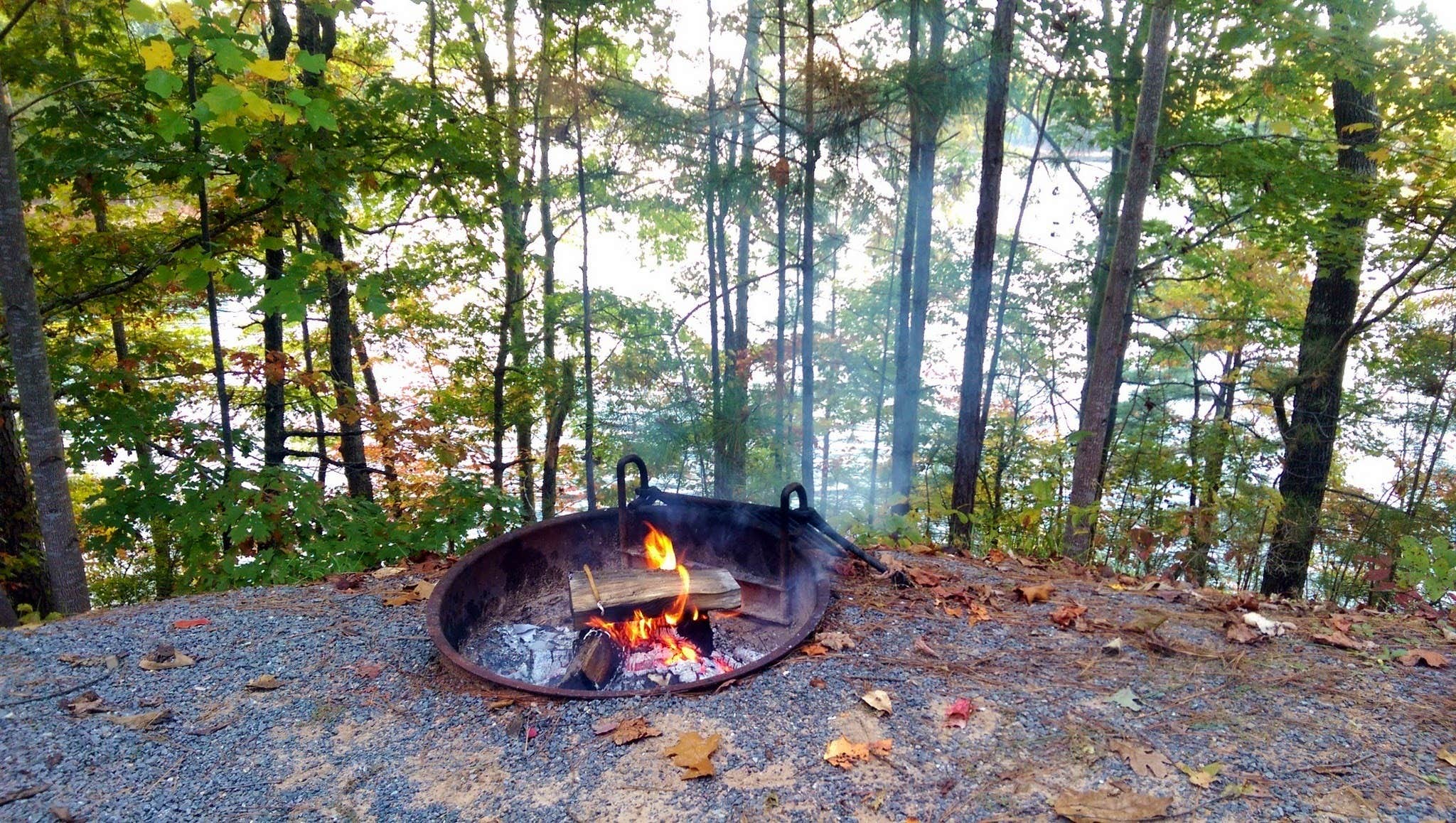 Doll Mountain Camping Carters Lake, GA