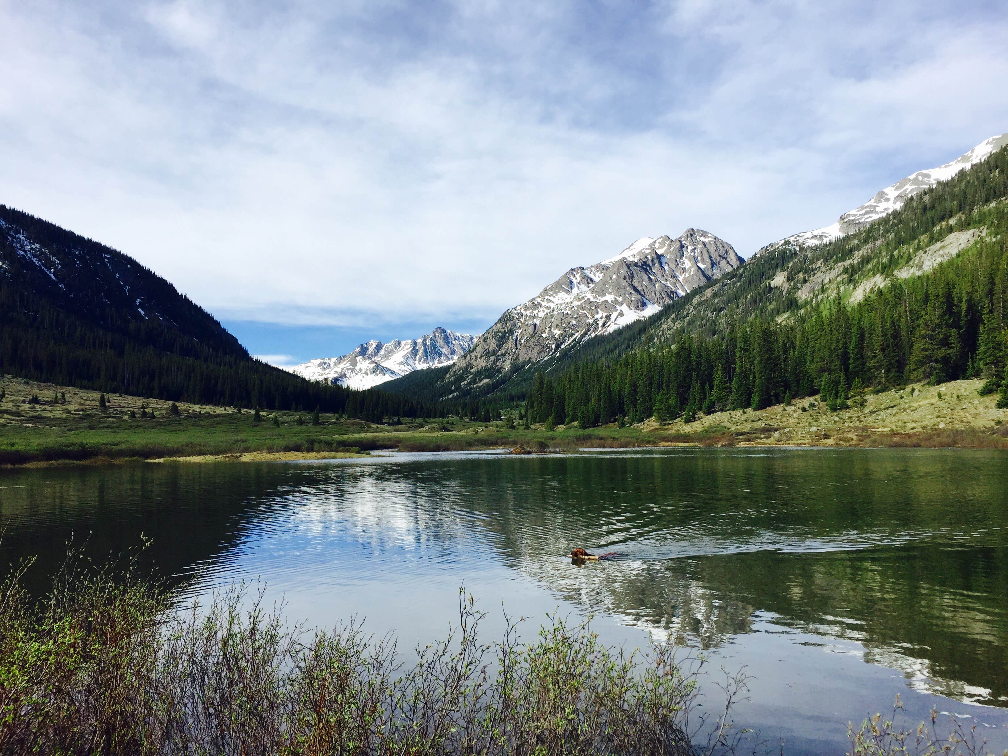 Camper submitted image from Portal Campground - 5