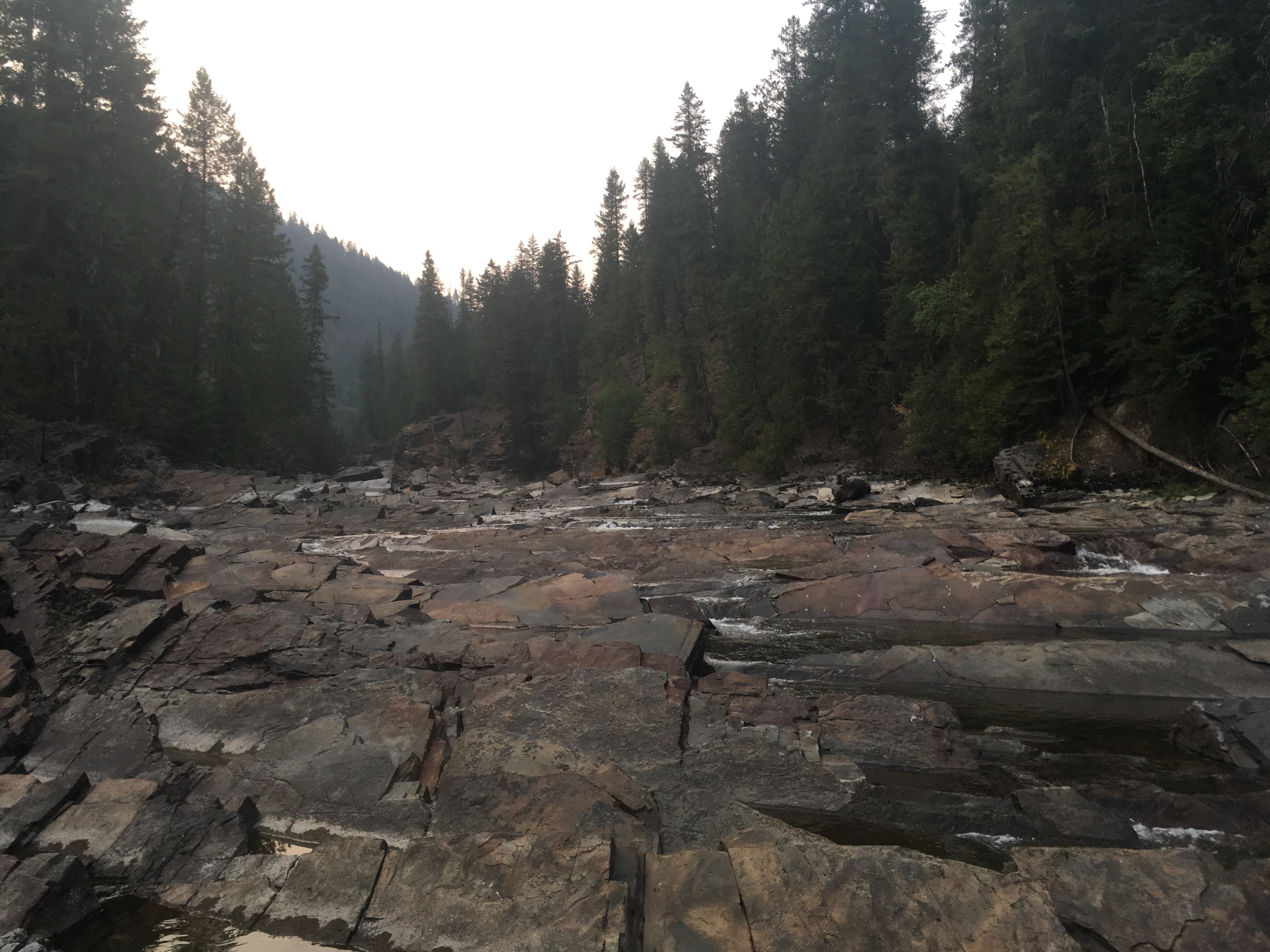 Camper submitted image from Yaak Falls Campground - 2