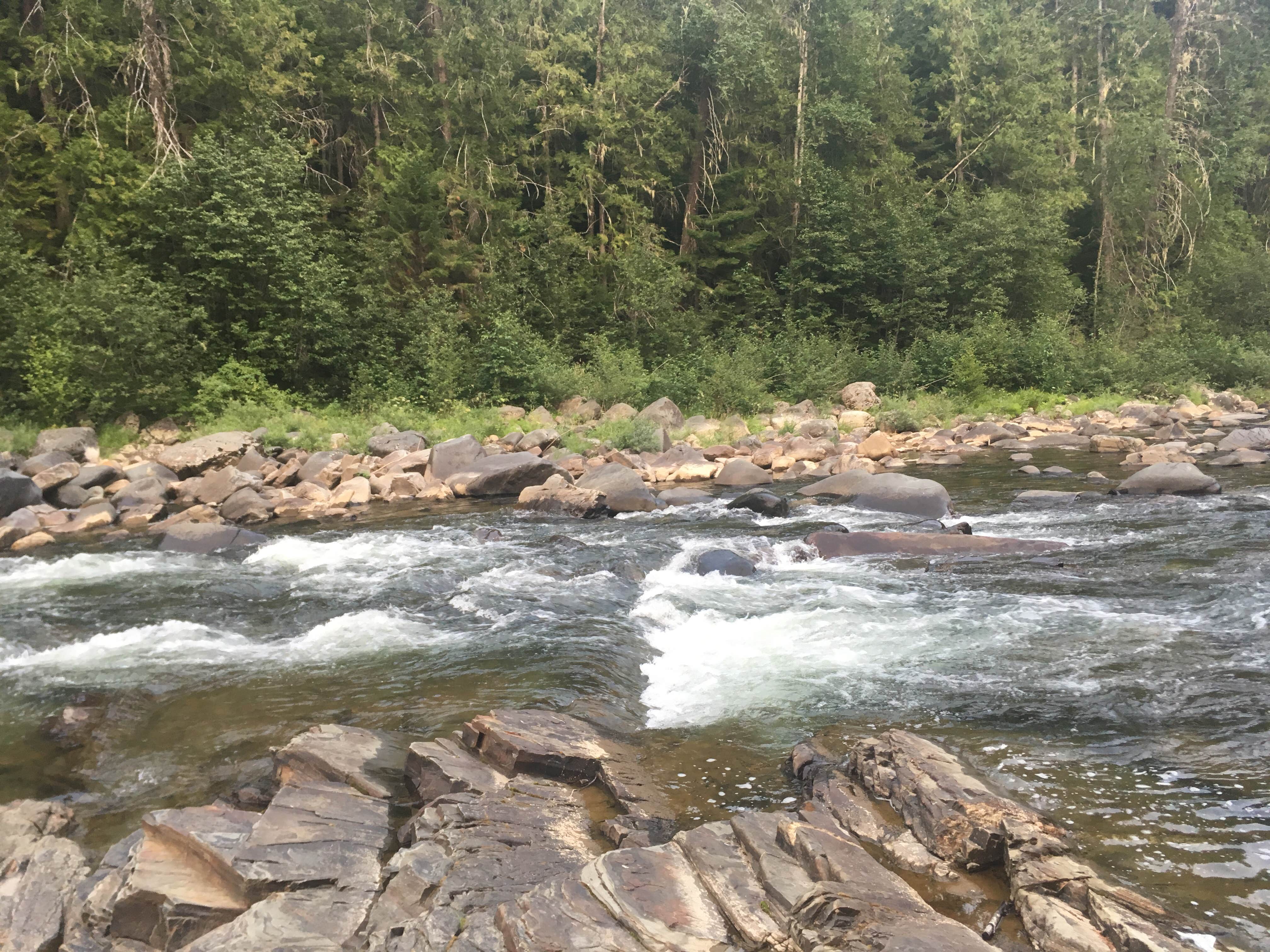 Camper-submitted photo at Yaak Falls Campground near Eureka, MT